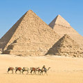 Pyramid trip