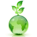 Carbon Offset Credits