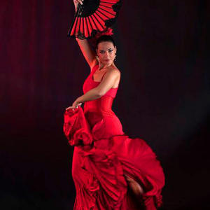 "Evening of Flamenco" Show for Two