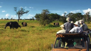 Photo of Experience the honeymoon of a lifetime in Africa! This unique continent guarantees to delight the senses. From safaris to islands in the Indian Ocean island, you'll find the perfect mix of activity and relaxation.  