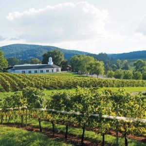 Wine and Country Weddings